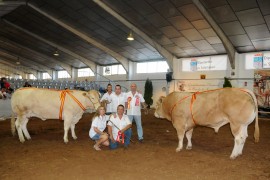 “GERARDO” Y “CANTABRIA” CAMPEONES DEL VII CONCURSO NACIONAL DE RAZA BLONDA DE AQUITANIA