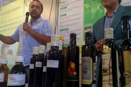 Destacan la calidad de las aceites de oliva de las variedades autóctonas de  Salamanca