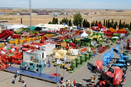 La Feria Salamaq 2015 contará con 530 expositores, 1.600 ejemplares de ganado puro y mayor ocupación