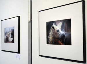 Fotografía premiada en la edición del año pasado