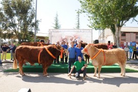 LOS CAMPEONES DE LAS RAZAS DE CHAROLES, LIMUSIN, BLONDA Y AVILEÑA NEGRA RECIBIERON SUS PREMIOS