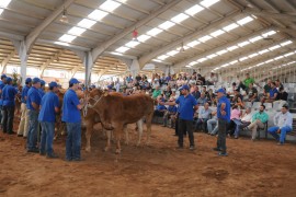 XXIV CONCURSO NACIONAL DE RAZA LIMUSINA