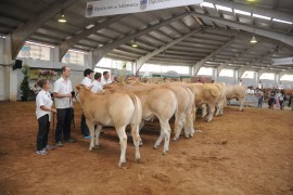 RESULTADOS DEL VIII CONCURSO NACIONAL DE RAZA BLONDA DE AQUITANIA