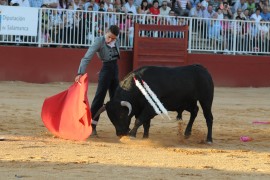 Carteles del certamen de Escuelas de Tauromaquia