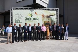 SALAMAQ 16, UNA FERIA QUE HERMANA A LAS PROVINCIAS DE CASTILLA Y LEÓN