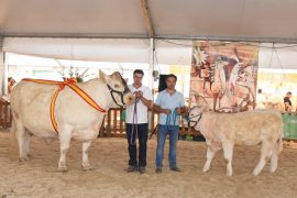 “BORUGOGNE” Y “GOLONDRINA” CAMPEONAS ADULTA Y JÓVEN DEL XXVIII CONCURSO NACIONAL DE GANADO VACUNO DE LA RAZA CHAROLESA. SALAMAQ 16