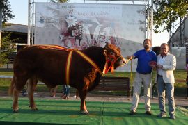 ENTREGA DE PREMIOS A LOS CAMPEONES DE LAS RAZAS DE CHAROLES, LIMUSIN Y BLONDA. SALAMAQ 16