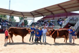 MÁS DE 450.000 EUROS EN LA SUBASTA NACIONAL DE GANADO BOVINO QUE BATE RECORDS CON DOS EJEMPLARES LIMUSÍN A 17.300 Y 14.700 EUROS