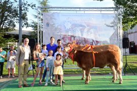 Imágenes de la Entrega de Premios a los Campeones de Charoles, Limusín y Blonda de Aquitania