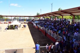 Resultados de la Subasta Nacional de Ganado Bovino en Salamaq 2017