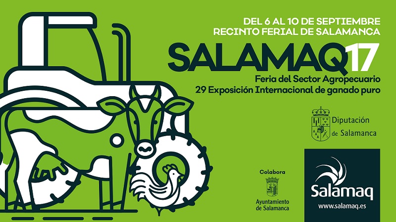 Imagen de la colaboración de Ayuntamiento y Diputación para la celebración de Salamaq'17