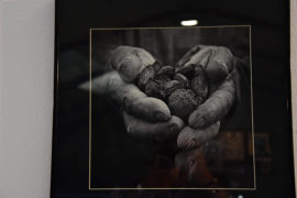 David Martín Pinto ganador del Premio Especial a la Colección del 30 Premio Nacional “Salamanca” de Fotografia Agrícola y Ganadera