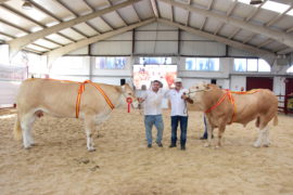 “Noya” y “Lavanda” Campeones del XII Concurso Nacional de Raza Blonda de Aquitania