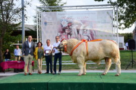 Entrega de premios a los campeones y ganadores  de los Concursos de las Razas Limusina, Charolesa y Blonda de Aquitania