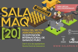 La Feria Salamaq20 virtual da cabida a cerca de 800 imágenes de las razas de vacuno y ovino que participan en la 32 Exposición Internacional de Ganado Puro