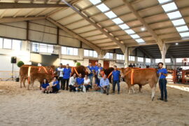 “Luciano” y “Narnia” Campeón y Campeona del 29 Concurso Nacional de Raza Limusina