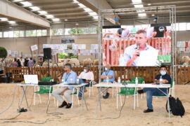 Defensa contra los bulos sobre la carne en memoria de José Manuel Blanco