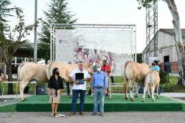 ENTREGA DE PREMIOS A LOS CAMPEONES Y GANADORES DE LOS CONCURSOS DE LAS RAZAS LIMUSINA, CHAROLESA Y BLONDA DE AQUITANIA