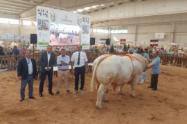 Una jornada de Carne de Charolés a beneficio de la Asociación Española contra el Cáncer de la mano de UCHAE