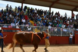 RESULTADOS DE LA SUBASTA NACIONAL DE GANADO BOVINO EN SALAMAQ 2022