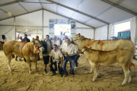 “Thor” y “Nekane” Campeones del XV Concurso Nacional de Raza Blonda de Aquitania