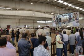 RESULTADOS DEL XXXVI Concurso Nacional de Charoles