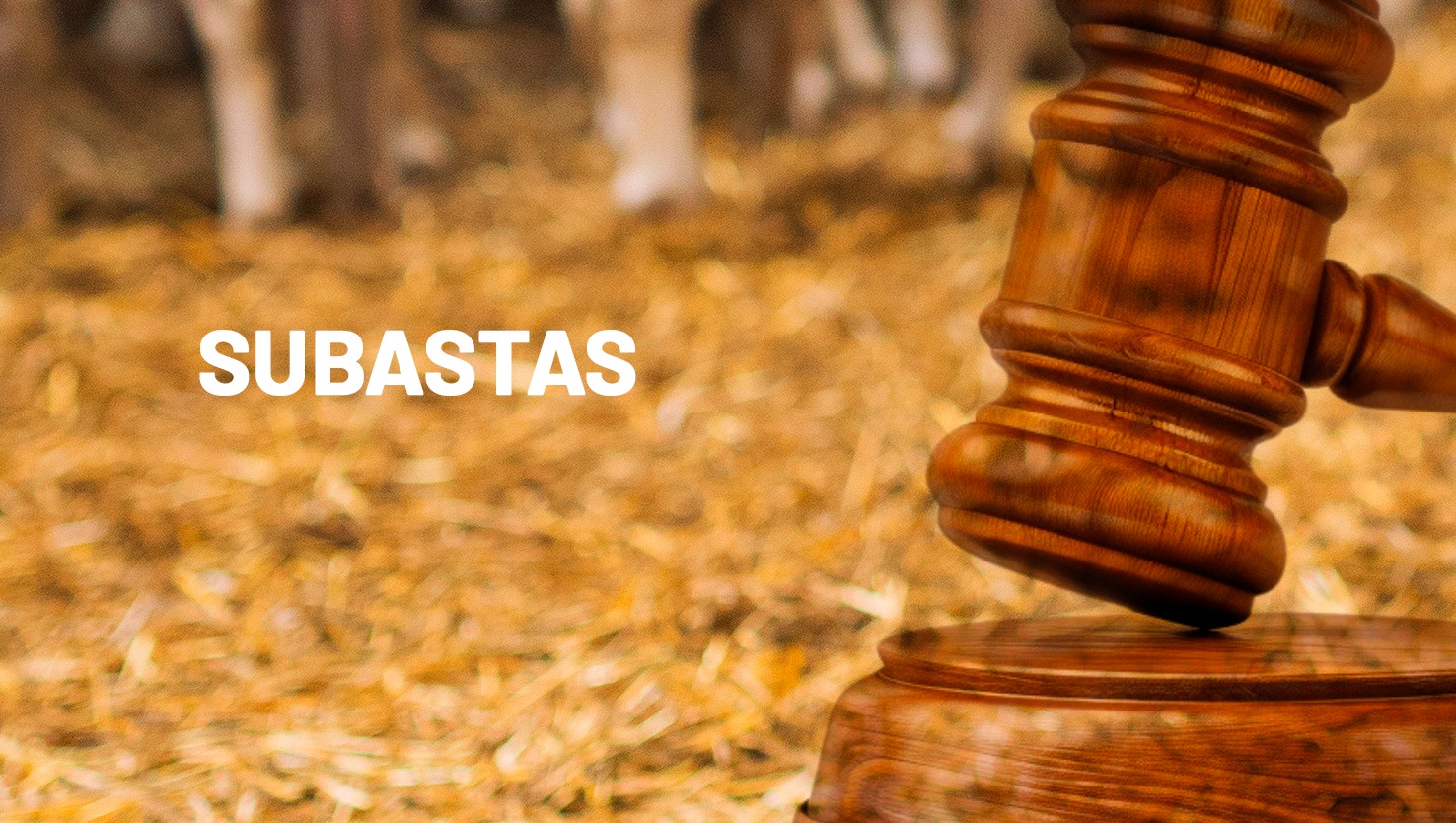 Subasta nacional de ganado puro 2025