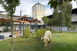 La Diputación culmina la transformación tecnológica del Recinto Ferial con una inversión de 1,94 millones de euros