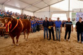 RESULTADOS DE LA SUBASTA NACIONAL DE GANADO BOVINO EN SALAMAQ 2026