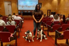 UN PERRO PASTOR ES UNA HERRAMIENTA Y UN COMPAÑERO DE TRABAJO EN UNA EXPLOTACIÓN GANADERA